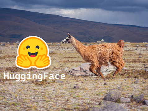 Double Llama 3.3 Speed with Hugging Face TGI